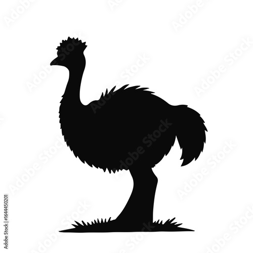Monochrome Vicuna Animal