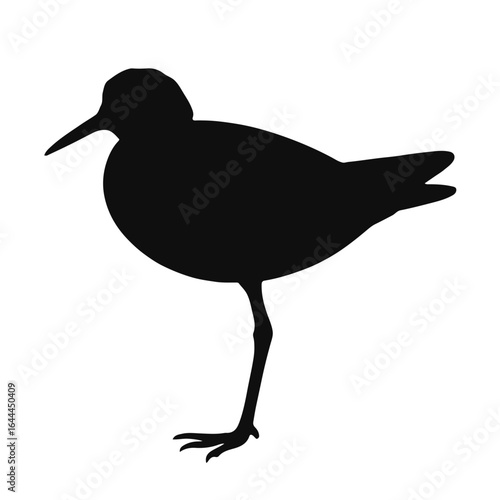 Upland Sandpiper - Black