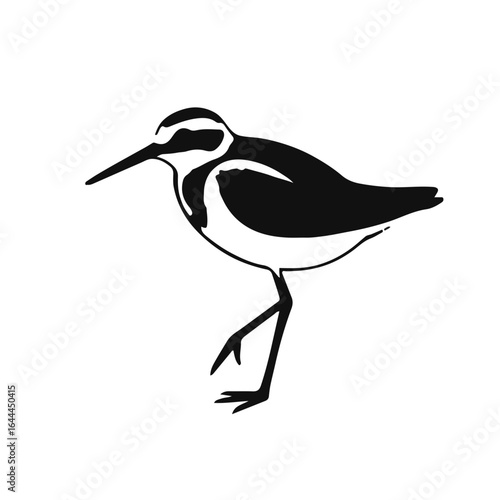 Upland Sandpiper Bird