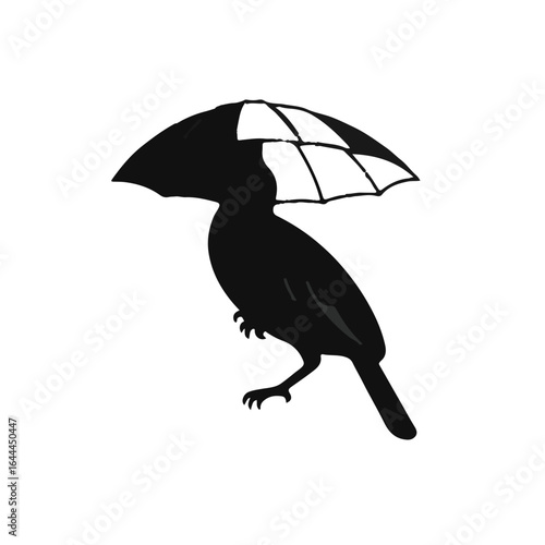 Black Umbrellabird Illustration