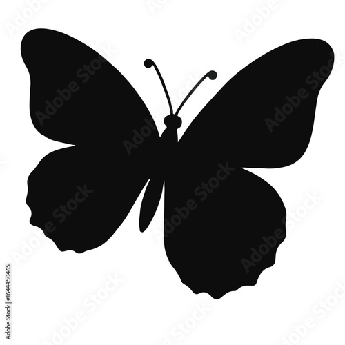 Black Butterfly Animal Motif