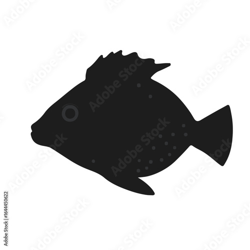 Uaru Cichlid Fish