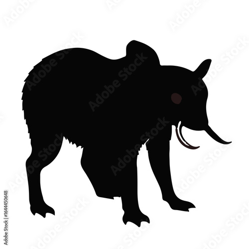 Sea Cucumber Urechis uncinctus