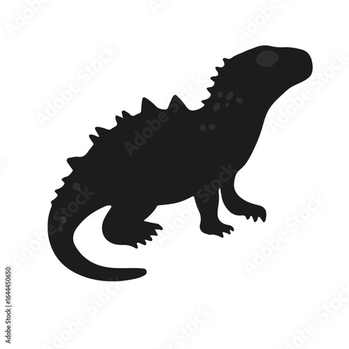 Black Uromastyx Animal