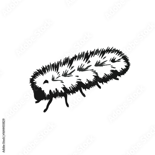 Tussock Moth Caterpillar