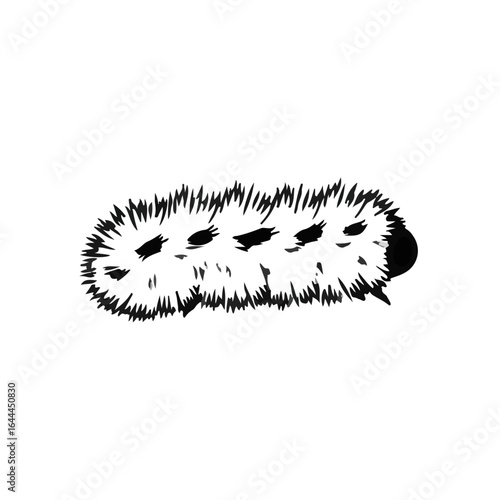 Tussock Moth Caterpillar