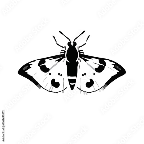 Black Tussock Moth