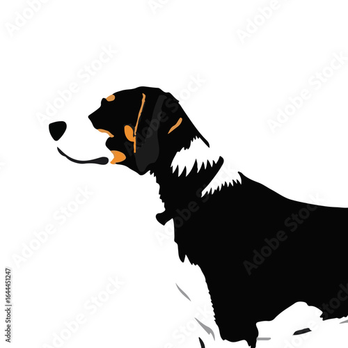 Treeing Walker Coonhound