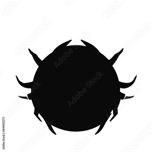 Black Trapdoor Spider