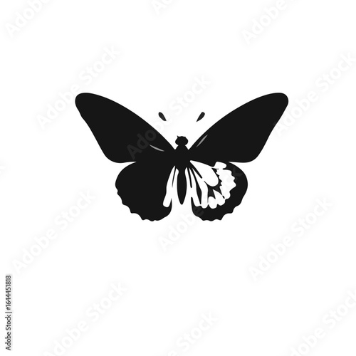 Tiger-Swallowtail Butterfly