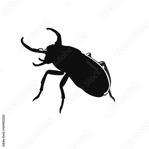Black Tiger Beetle Illustration