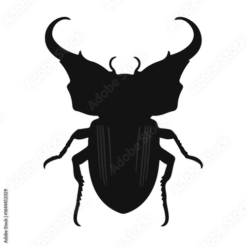 Black Tiger Beetle Illustration