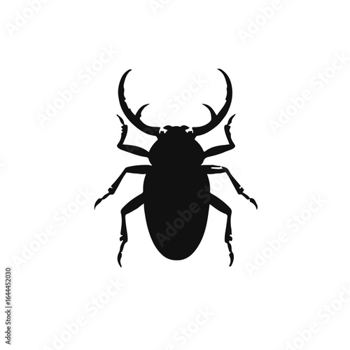Black Tiger Beetle