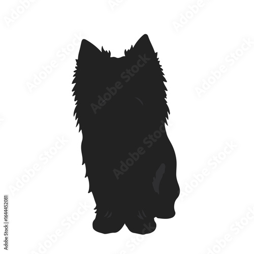 Black Tibetan Terrier