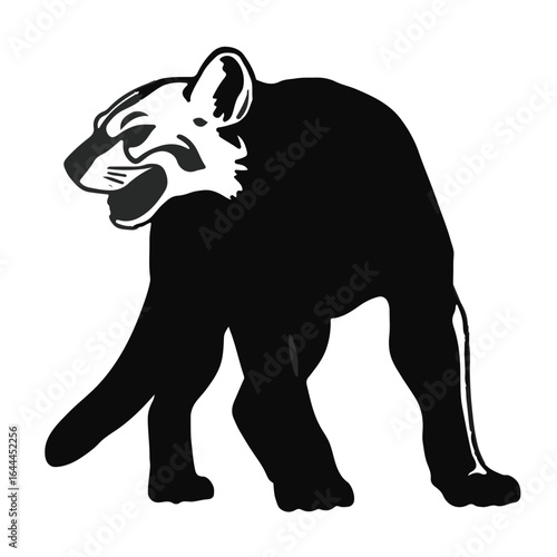 Thylacoleo Carnifex Fossil