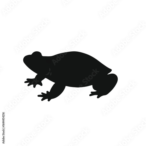 Black Turtle, Frog, and Wildlife Assemblage