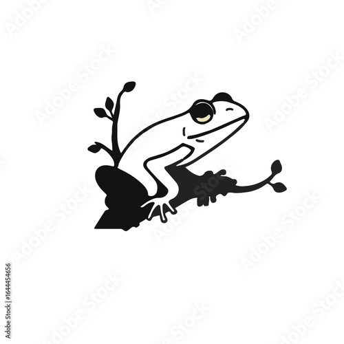 Black Tree Frog