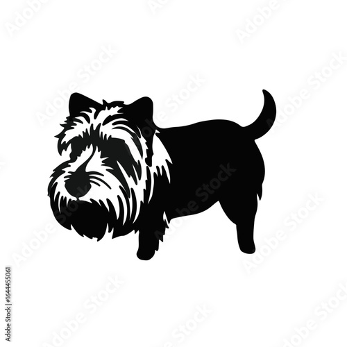 Black Terrier Animal