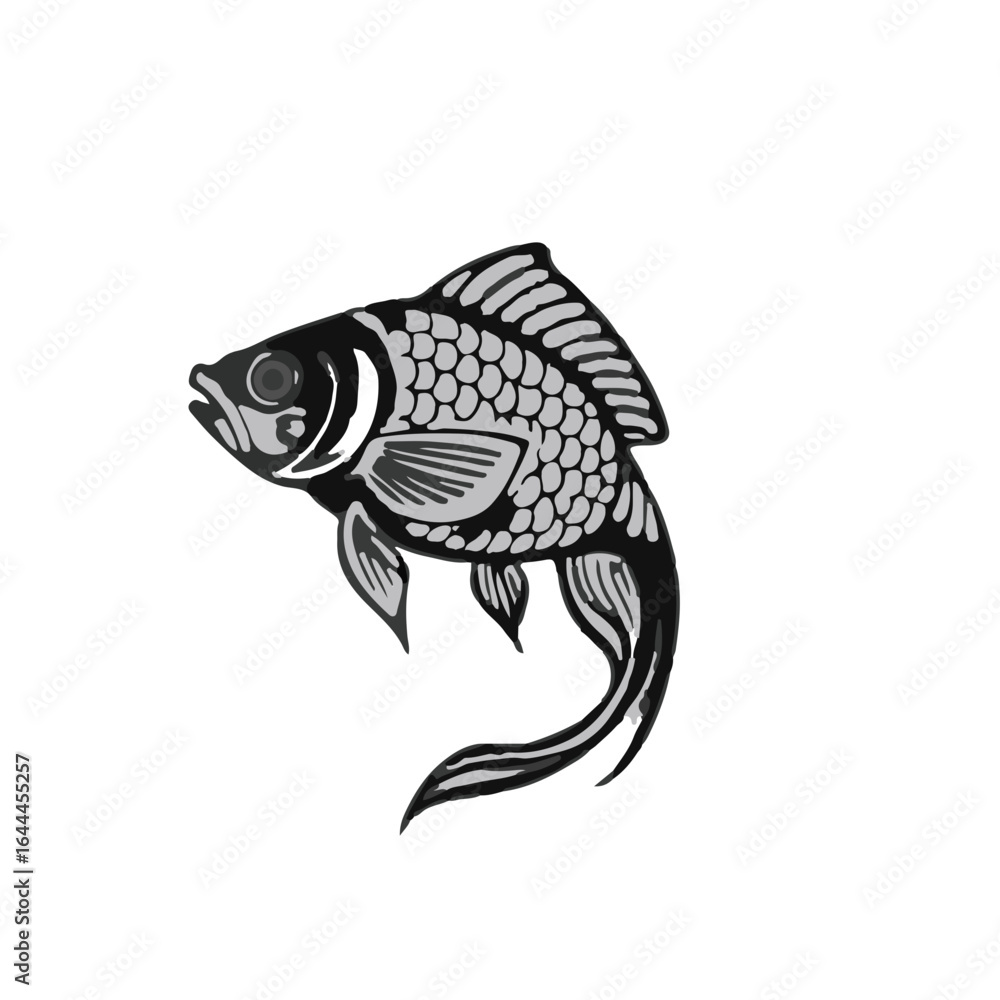 Fototapeta premium Black Taimen Fish