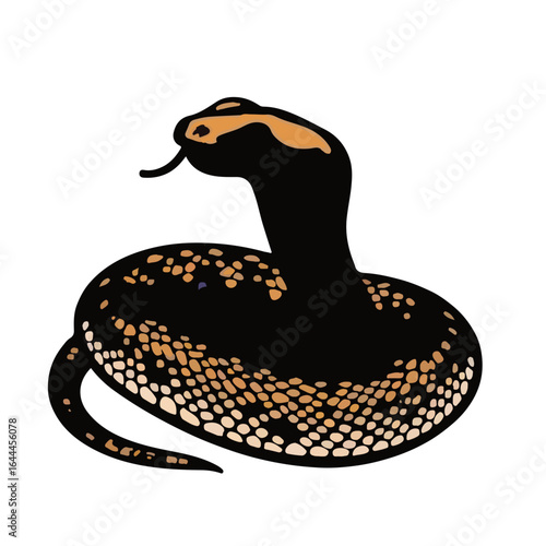 Brown Snake Illustration