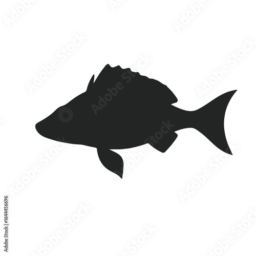 Black Bonefish Animal