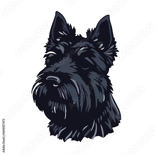 Black Russian Terrier Portrait