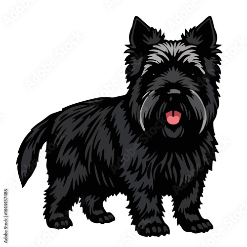 Black Russian Terrier Profile