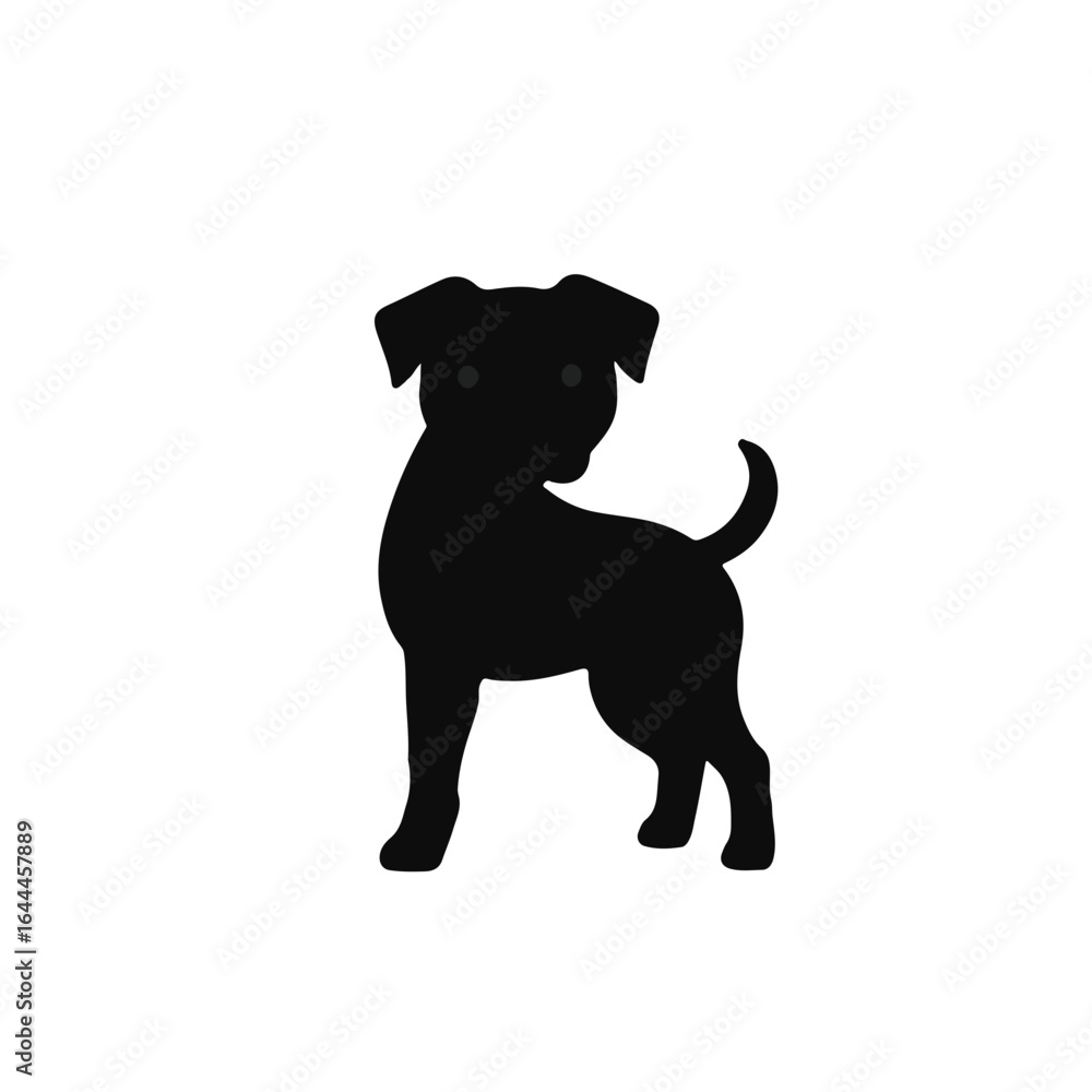 Naklejka premium Black Boxer Dog
