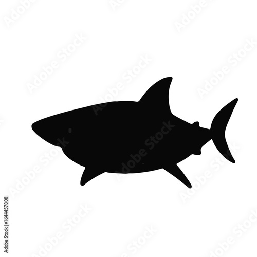 Black Bull Shark