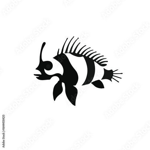 Chromodoris Mollusk Image