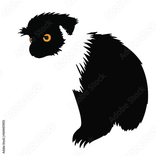 Cottontop Tamarin Portrait