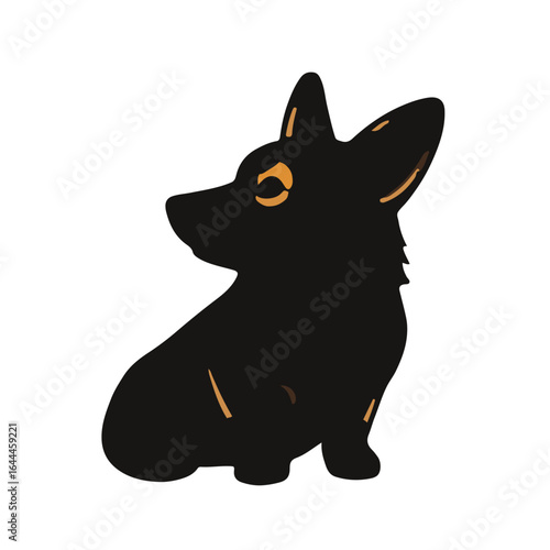 Black Corgi Animal