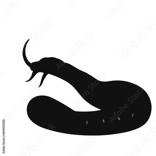 Black Copperhead Snake