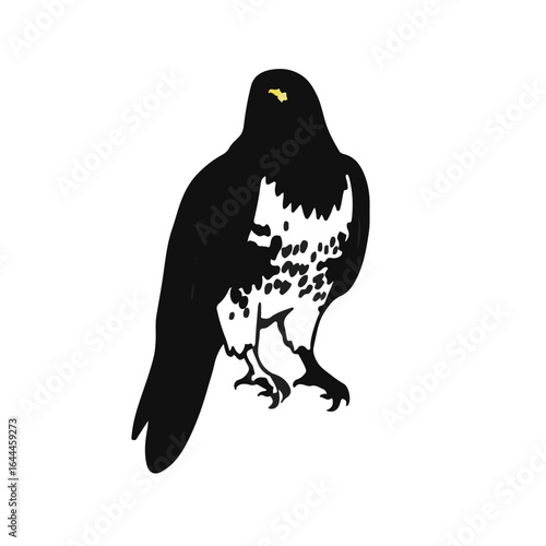 Cooper's Hawk Symbol