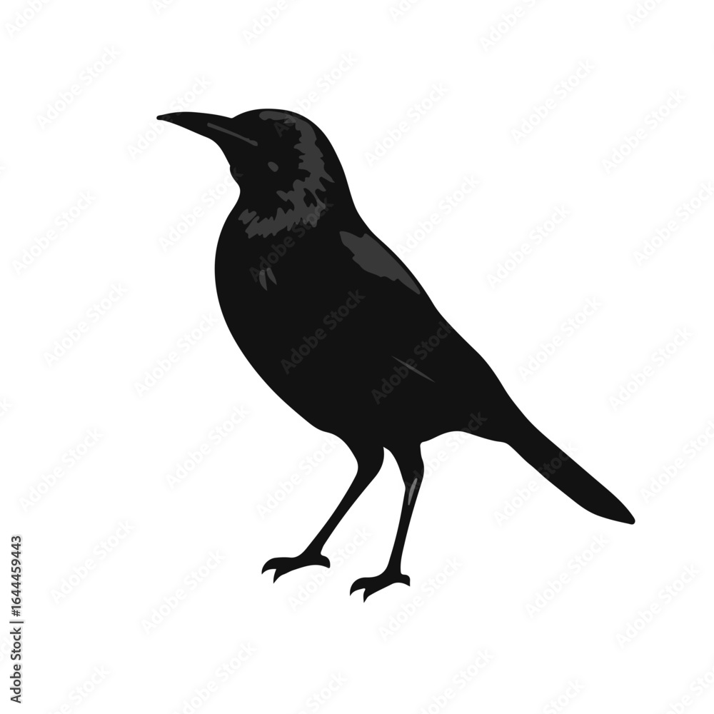 Obraz premium Common Grackle Symbol