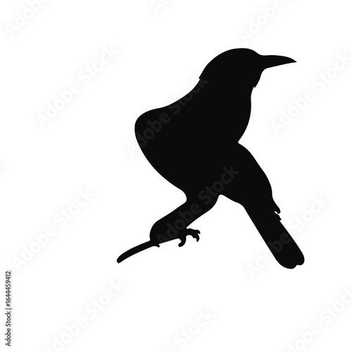 Common Grackle Symbol