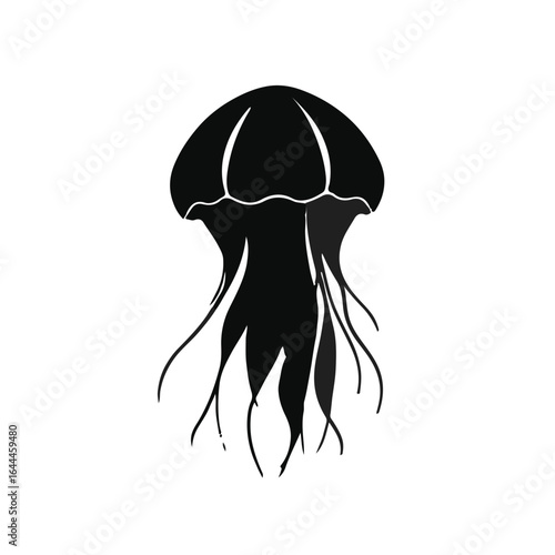 Comb Jellyfish Illustration