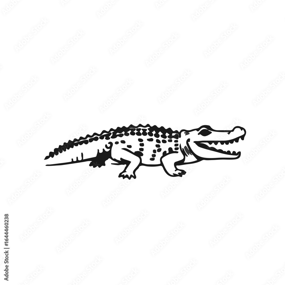 Naklejka premium Chinese Alligator Image