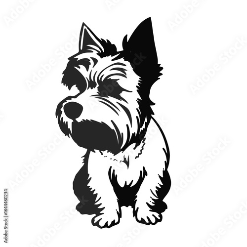 Chinese Crested Dog