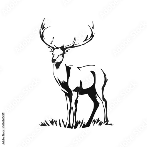 Black Coues Deer