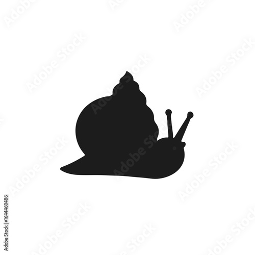 Bild auf Leinwand Black Cone Snail