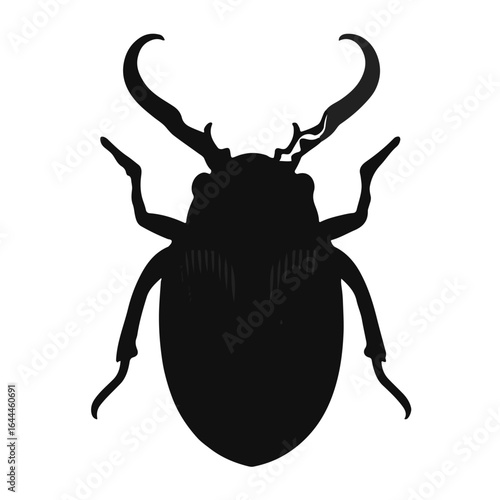 Furniture-Beetle-Animation