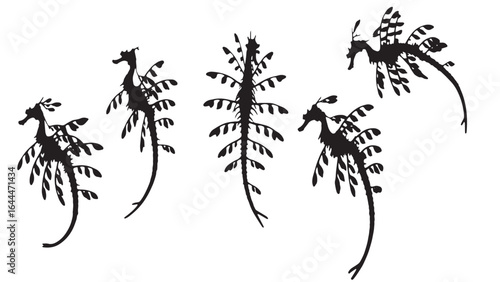 Black silhouettes of leafy sea dragons