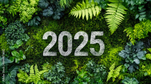 2025 new year concept for sustainable environment development goals in nature. Top view