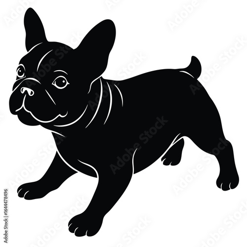 Black french bulldog puppy playful pose animal