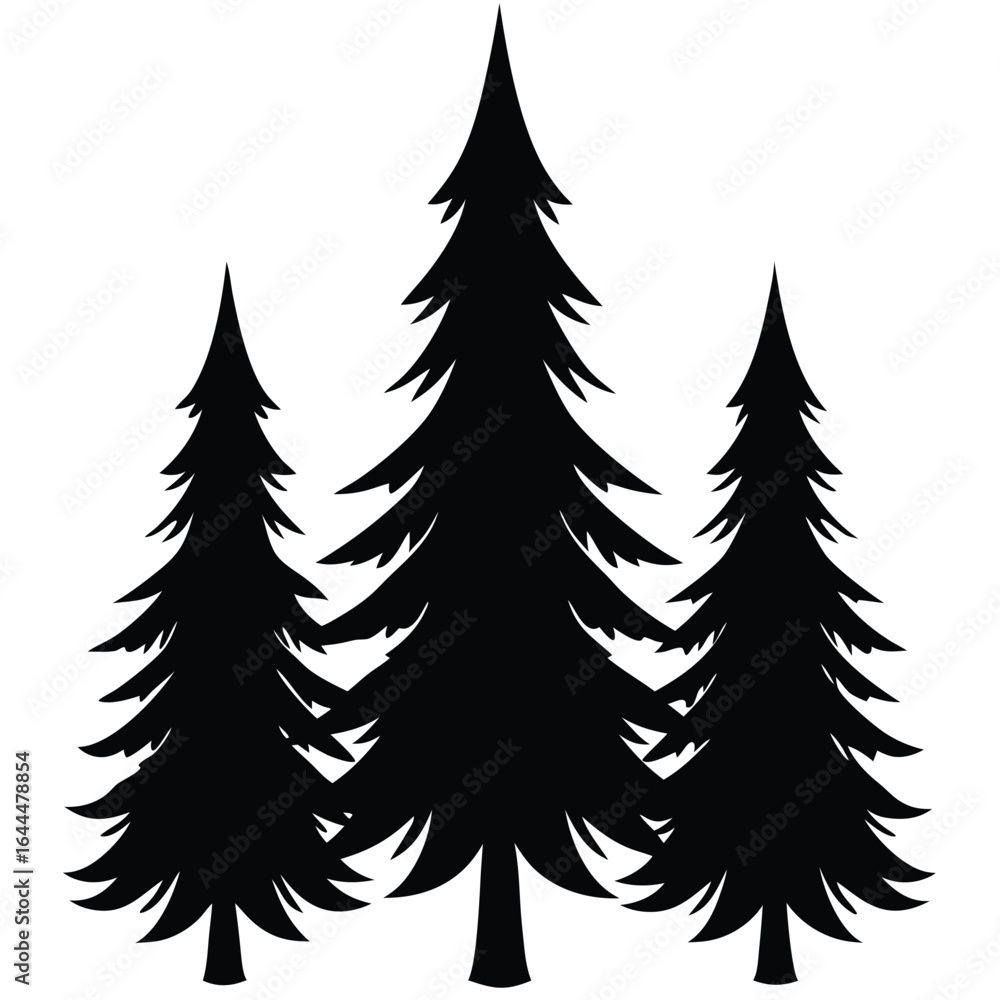 Fototapeta premium Black pine trees silhouette evergreen forest