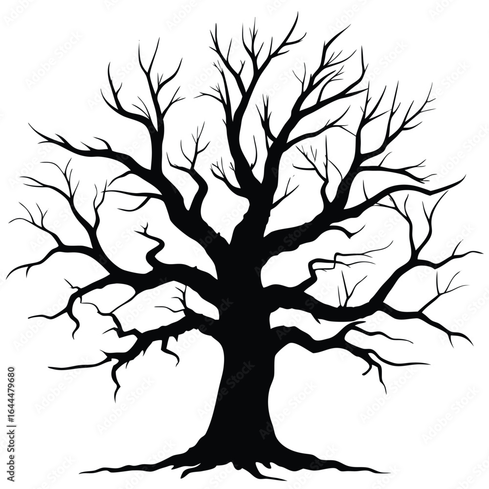 Fototapeta premium Stark bare tree silhouette black white