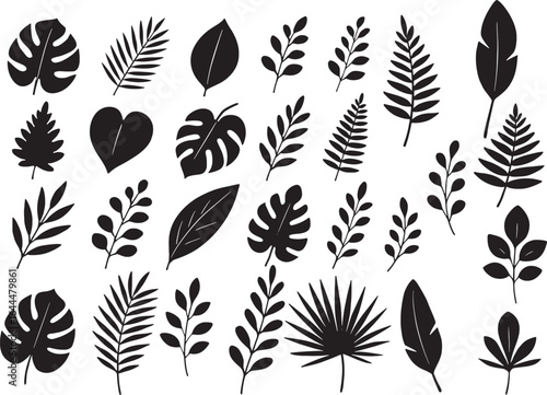 Tropical Leaf Silhouette Set 🌴🌿: A collection of Monstera, palm, and jungle leaf elements. Ideal for summer party invitations, logos, and patterns.