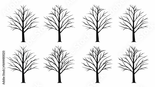 Bare Trees Branching Outwards branches silhouette