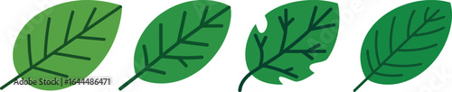 Four simple green leaves show aging and damage, isolated on white, transparent background